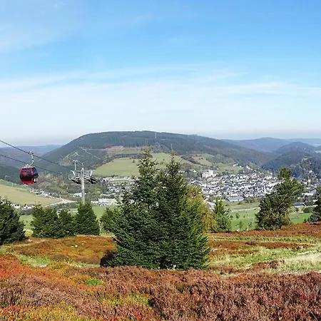 Hochsauerland 2010 Willingen (Upland)