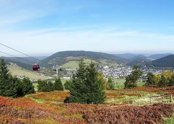 Hochsauerland 2010 Willingen (Upland)