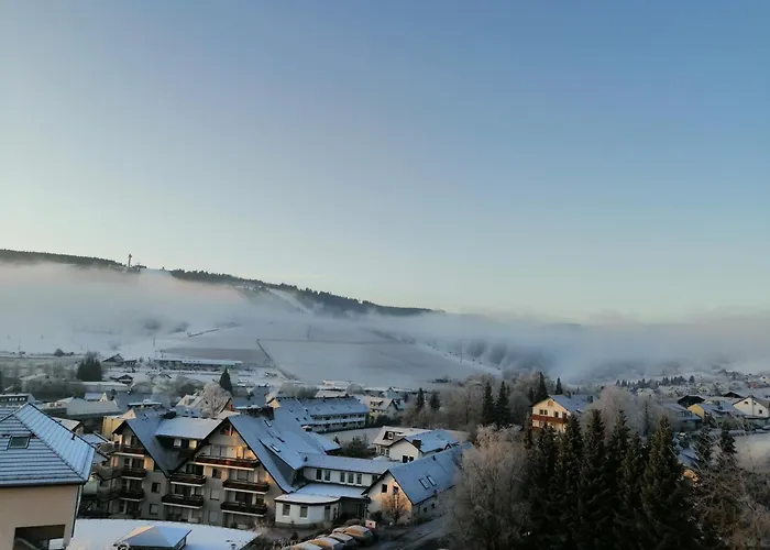 Hochsauerland 2010 호텔