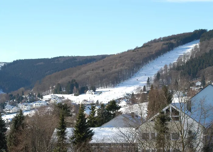 Hochsauerland 2010 Willingen (Upland)