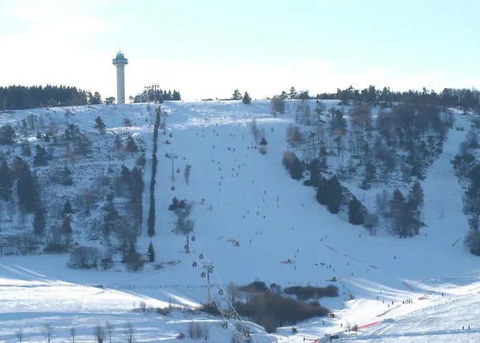 Hochsauerland 2010 호텔 4*