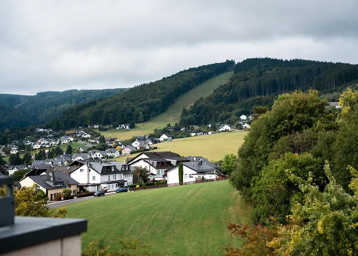 호텔 Hochsauerland 2010 4*