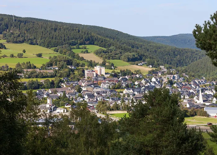 호텔 Hochsauerland 2010 4*